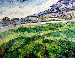 Le champ de blé vert derrière l
